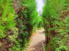 -亲兄弟真人CS团建拓展基地