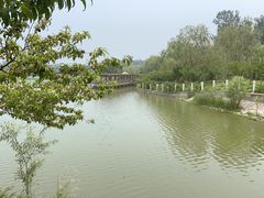 -廊坊市自然公园