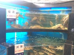 -莆鑫海鲜城(浏河店)