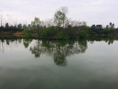 -白鹭湾湿地公园