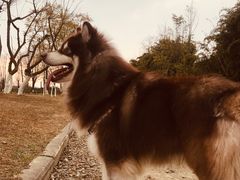 -白鹭湾湿地公园