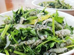 -全乐鱼馆·淳牌有机鱼直营店