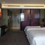 -南京禄口机场雅高铂尔曼大酒店