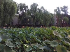 -四川大学(望江校区)