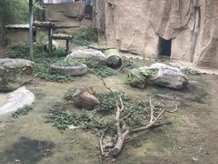 -成都动物园