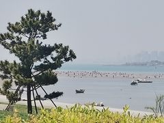 -青岛银沙滩