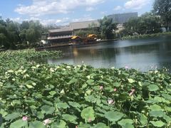 -西海子公园