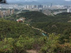 -许家山