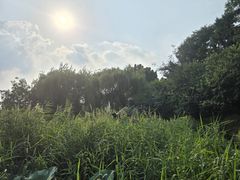 -郭守敬纪念馆