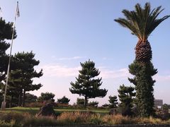 -真情鲍鱼海鲜汤