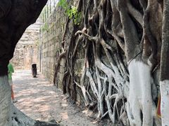 -胡里山炮台