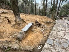 -黔灵山公园