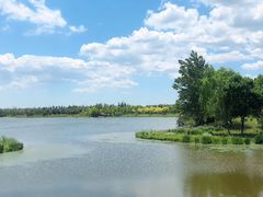 -东郊湿地公园