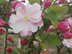 -永定河休闲森林公园