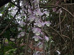 -邹记·美食(斗门店)