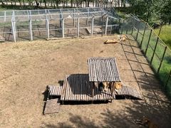 -青藏高原野生动物园