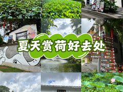 -荔湾湖公园