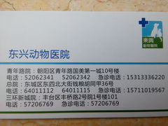 名片-宠颐生东兴动物医院(大悦城店)