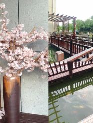 -安琪朵朵独栋花园月子中心