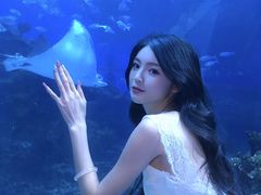-海合安成都极地海洋公园