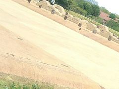 -盘龙城国家考古遗址公园