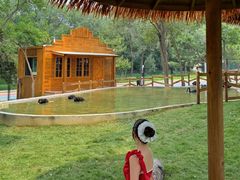 -南戴河国际娱乐中心