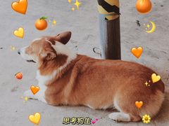 -鹿福农庄(南沙天后宫店)