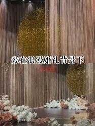 -DC大蔡婚礼策划(李公堤店)