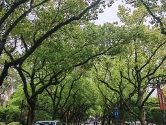 -浙江大学(玉泉校区)