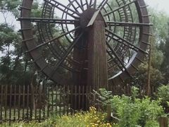 -溱湖国家湿地公园