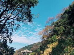 -广州市石门国家森林公园