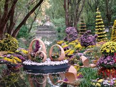 -上海共青森林公园