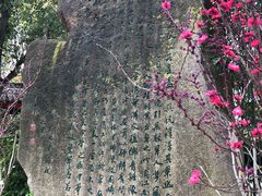 -南汇桃花村