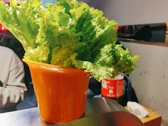 -刘记大块烤羊腿餐吧(北沙滩店)