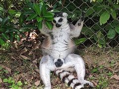 -乐和乐都主题乐园