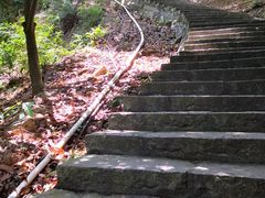 -火炉山森林公园