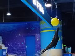 -重庆欢乐海底世界