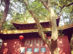 iphone_upload_pic-普陀山风景名胜区-法雨禅寺