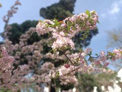 -四川大学(望江校区)