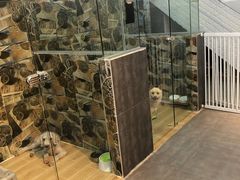 -宠物之家Pets Home 宠物寄养酒店