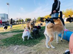 -栖露营camping·天幕烧烤·团建拓展·采摘营地