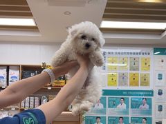 -瑞派中心宠物医院·CT·核磁·神经专科