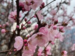 -长春市南湖公园