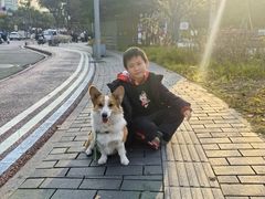 -半岛宠物医院24小时(科华中路店)