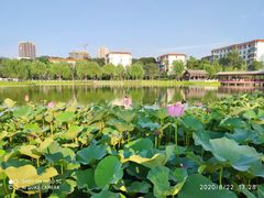 -西海子公园