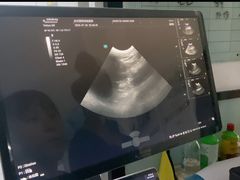 -嘉馨宠物医院·CT影像转诊·心脏科·犬猫全科诊疗中心(下沙大学城院区)