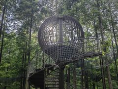 -黄海国家森林公园