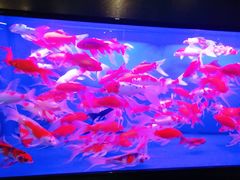 -弘安丽水温泉酒店