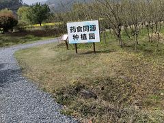-径山花海