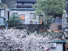 -溪口-滕头旅游景区